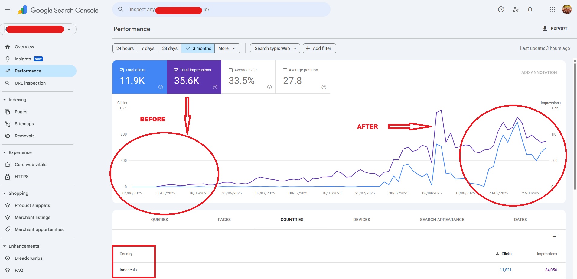 INDONISIA GSC Indonesia SEO Success with Google Search Console